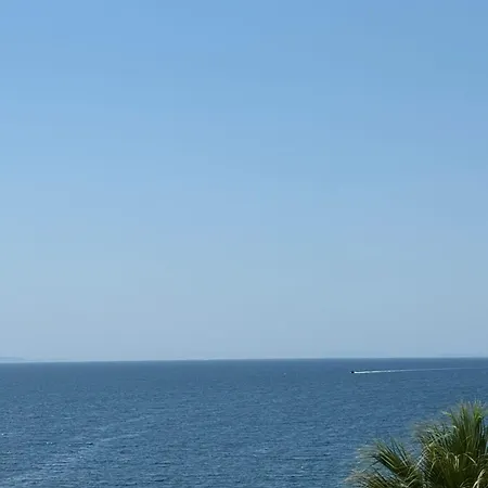 Blue *